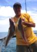 billfish_small.jpg