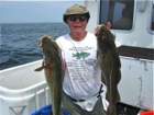 codfish_small.jpg