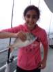 galiandbillfish_small.jpg