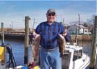 stevetottenblackfish_small.jpg