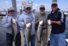 striperfishingonreelfunsportfishing_small.jpg