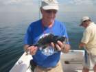 tomtylsblackseabass_small.jpg